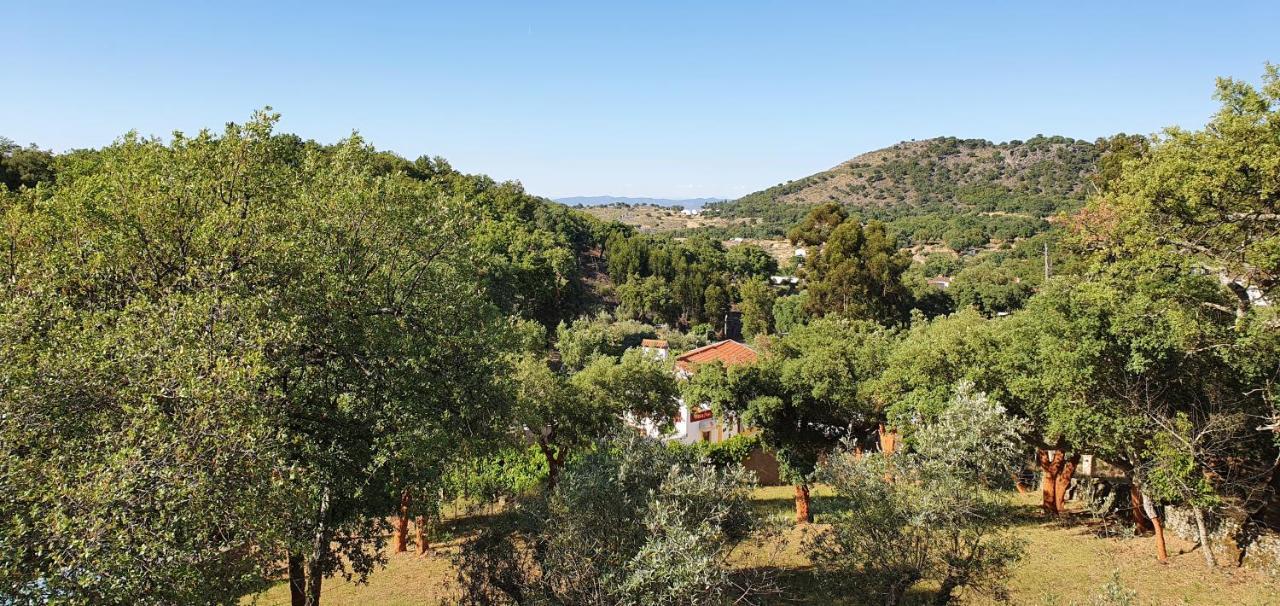 Casa Do Passaro Villa Galegos  Eksteriør billede