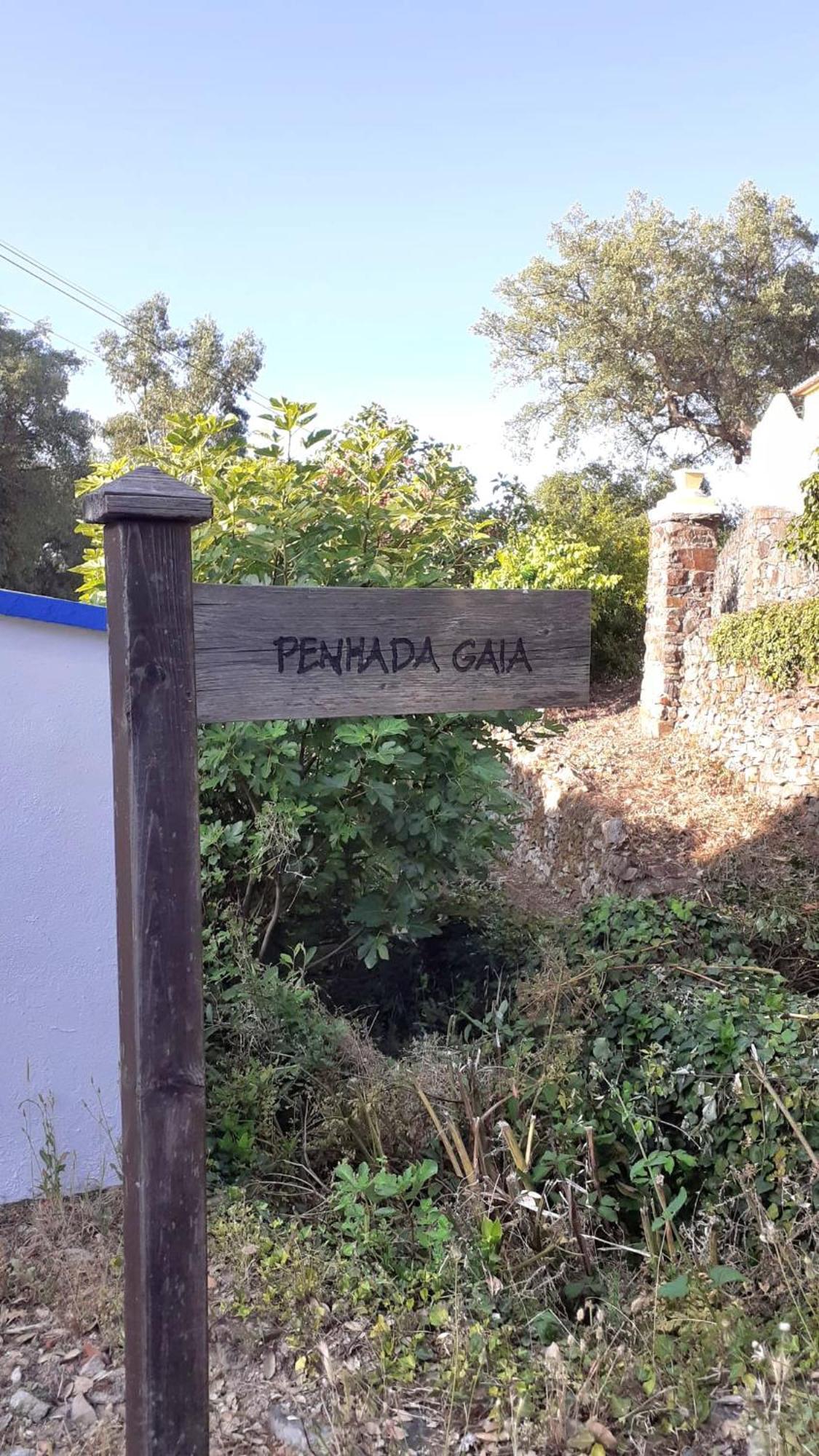 Casa Do Passaro Villa Galegos  Eksteriør billede